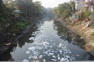 Suy nghĩ về hiện tượng sông ngòi, kênh rạch bị ô nhiễm